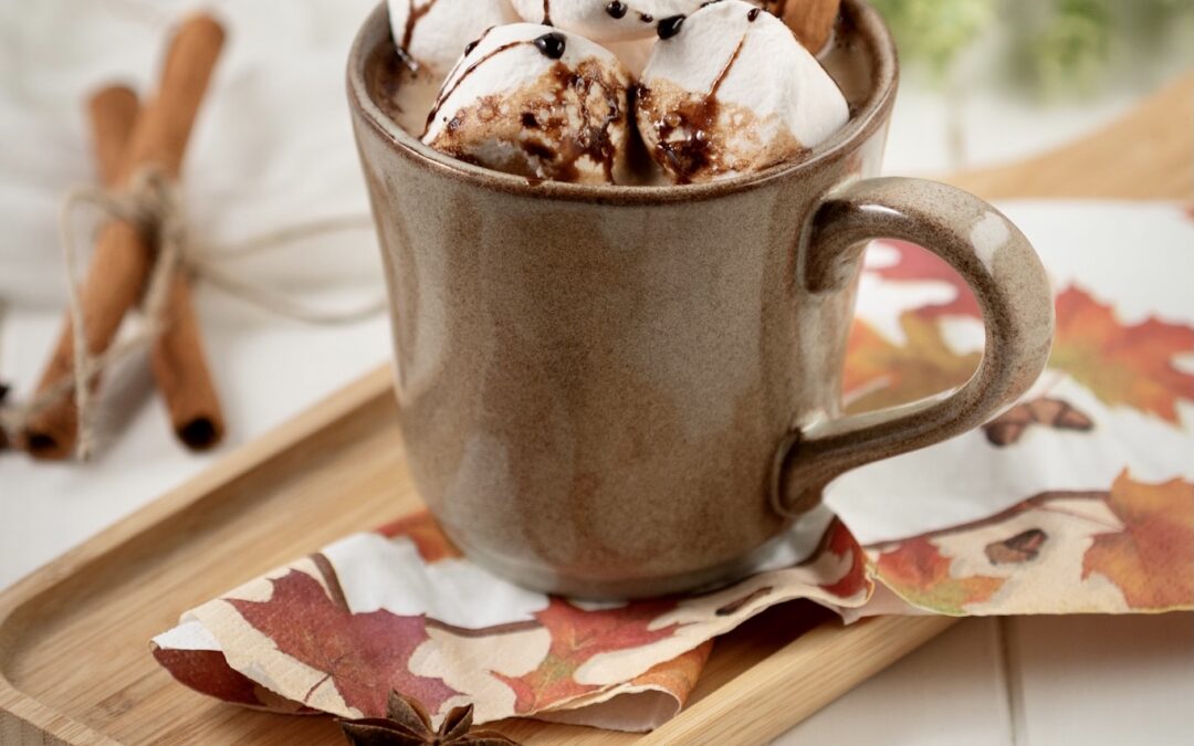 Spiced Mexican Hot Chocolate