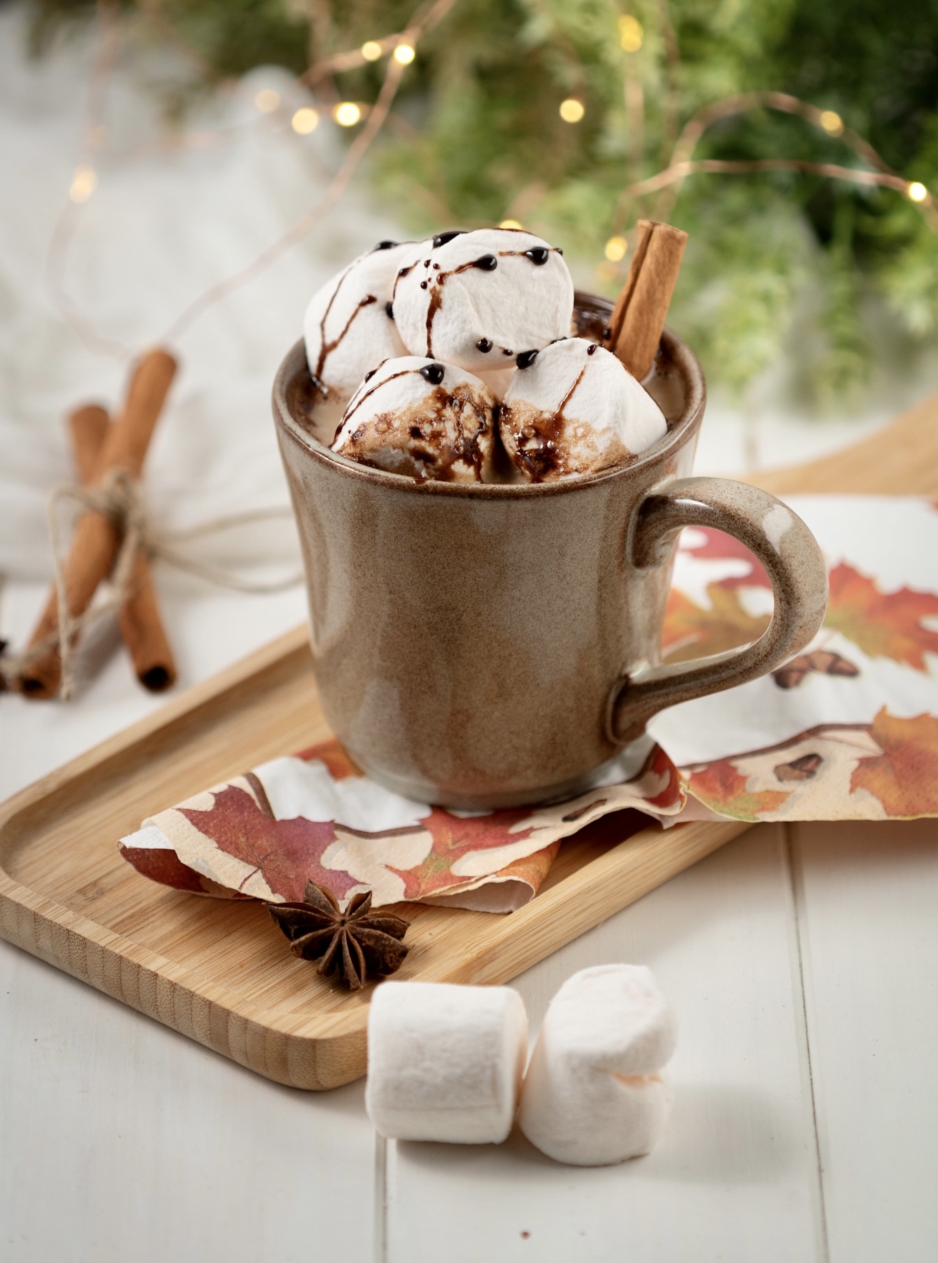 Spiced Coffee Hot Chocolate